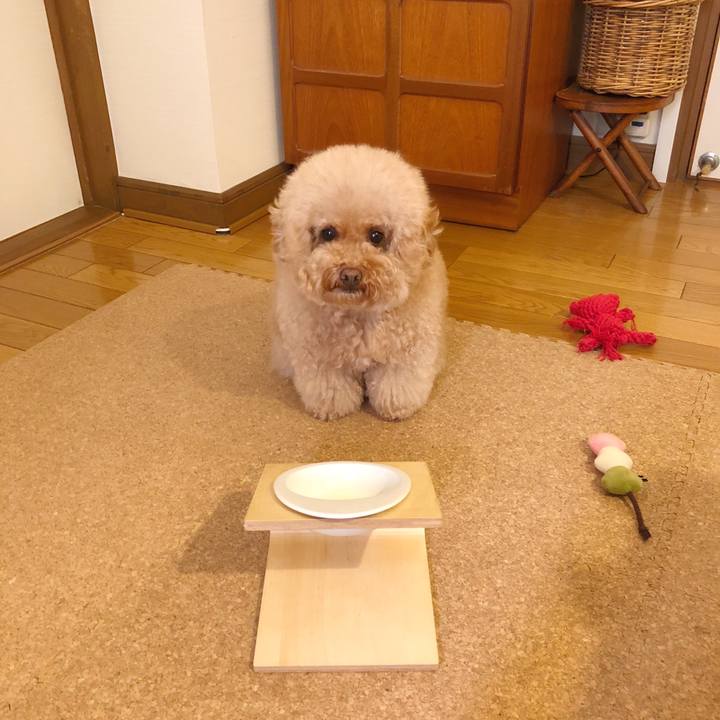 2de35d1c 9237 4970 94c6 9b2a03f454a2 1509775714119