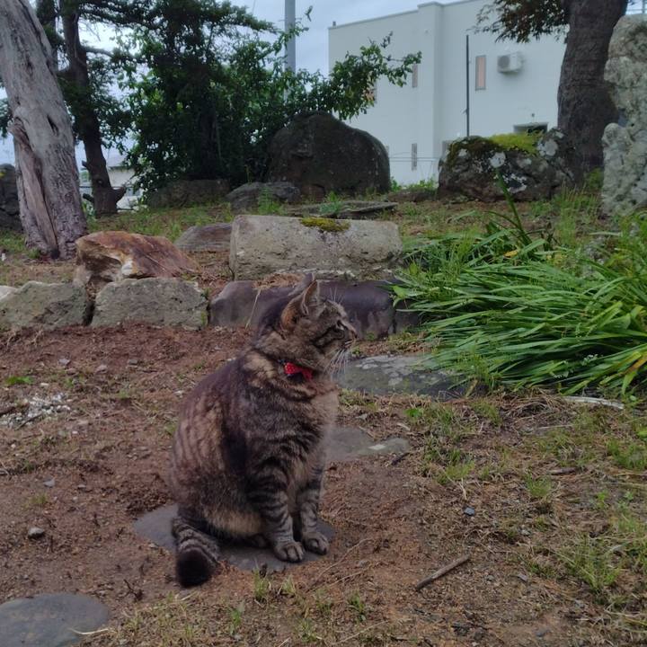 2de3a94a e262 4d14 9fbb a72a17b142f4 1686476919023