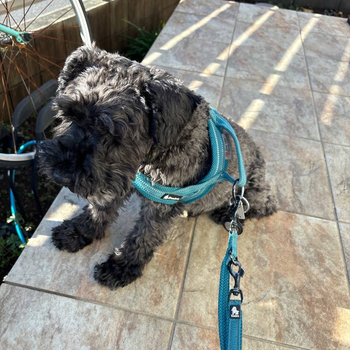 2de3b042 0b28 42df 9269 115bc9694725 1711695342539