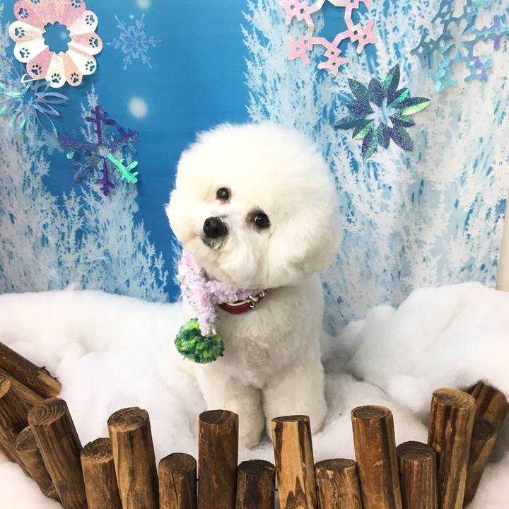 2de3d53a ace7 4124 8893 31a62c563fb4 1516008086960