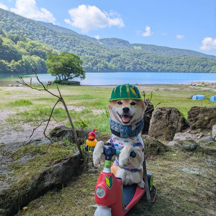 2de4065a 9e29 4e7d 8b6d 641d364a9f64 1752064530044