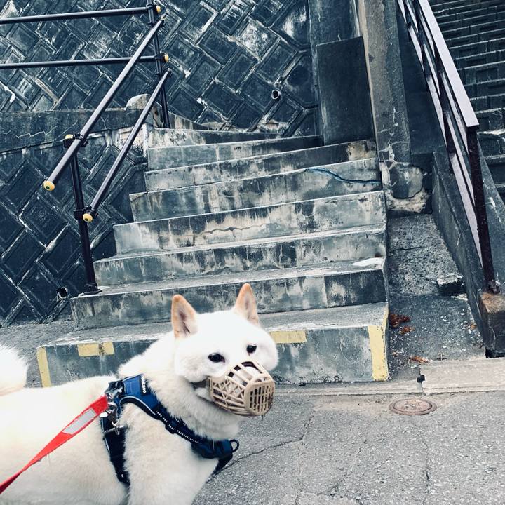 2de42758 3bb7 41ec 8c49 953327fdc539 1631049384061