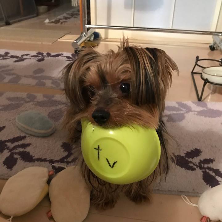 2de467a7 57a2 430c a779 8c918be0b8c5 1517708790655