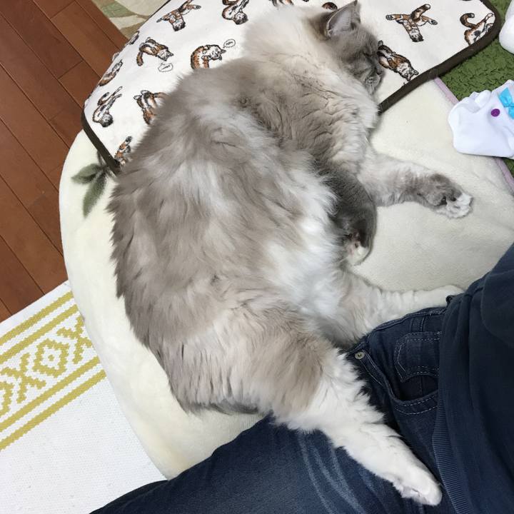 2de47497 5c41 4b1e a6c6 b20cb7785d82 1511104605615