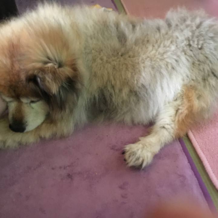 2de4ae08 8c38 4ca7 a644 83c3e008646c 1600081632276