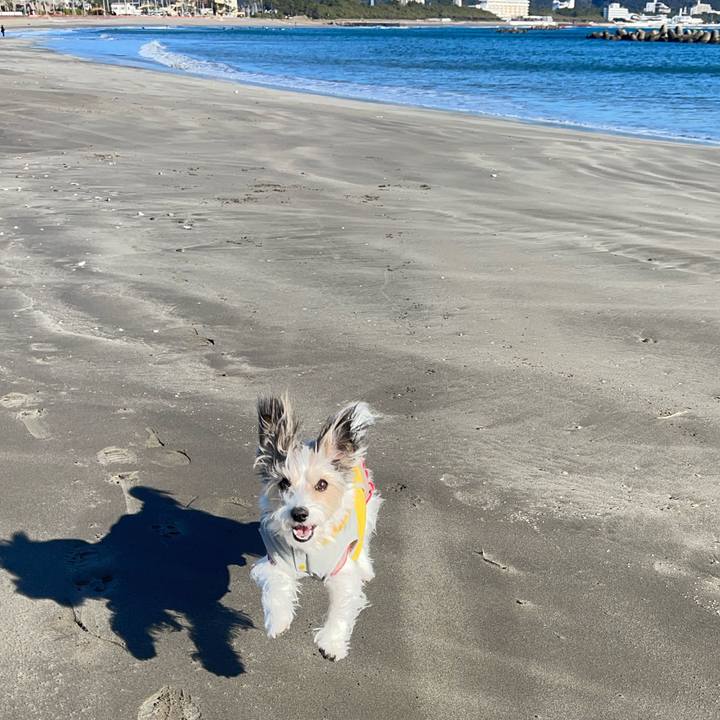 2de4b0af 88fd 4b9a 8542 78c78c25e438 1767448714925