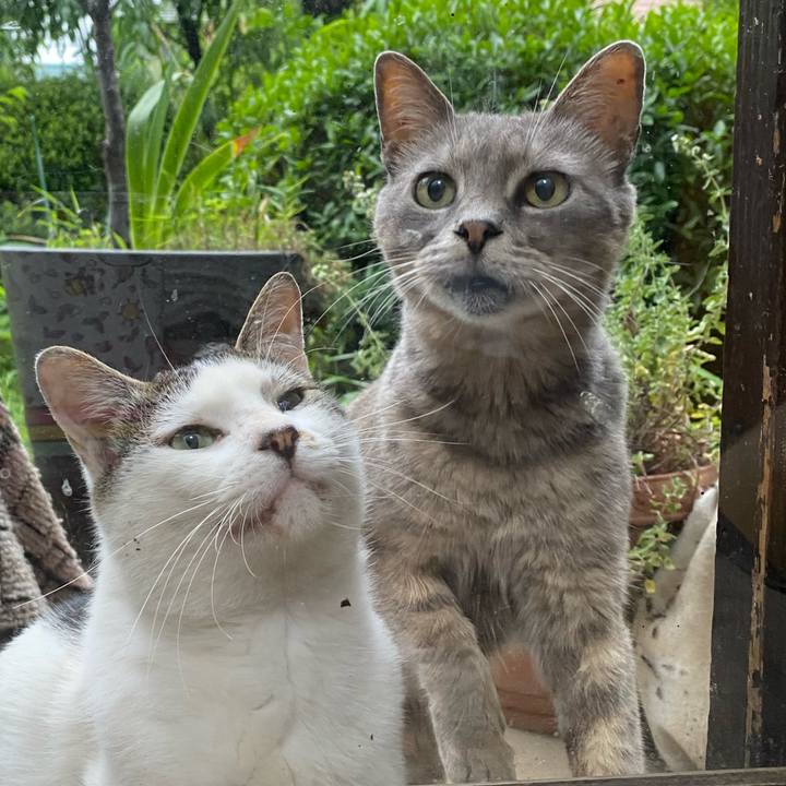 2de4c55a a021 45ca be18 164003ef53d2 1592125046942