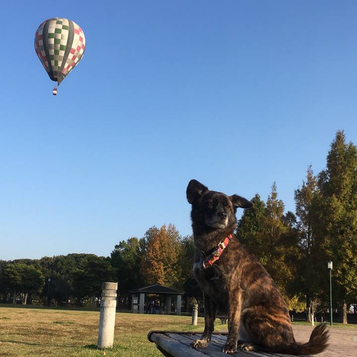 2de4c766 9797 4a0d 98cf 25d911c1ab52 1510481126301