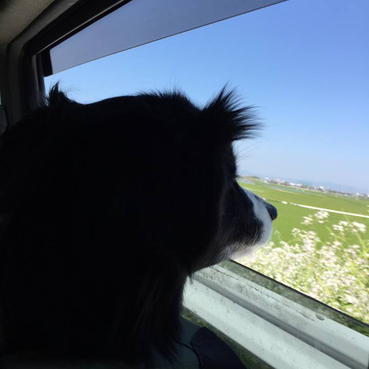 2de4fcd3 ccd8 4d0f 8504 9ff14c6b9c77 1555307573346