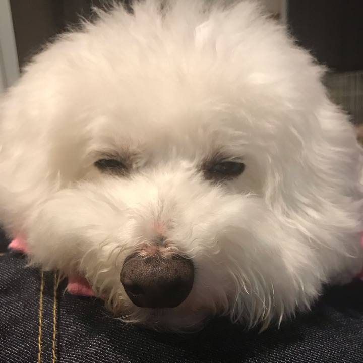 2de509f6 3c25 4aaa 800c 3c5bdf236e52 1571961520581