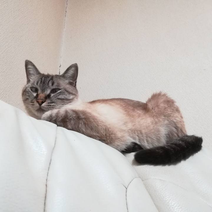 2de50bd2 94e9 4639 afaf be3bd1394720 1568206007857