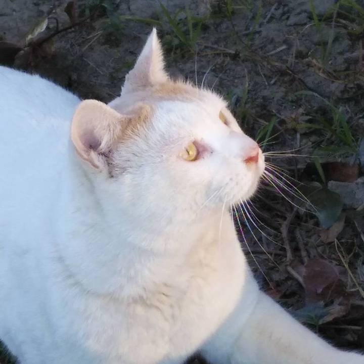 2de5123a 7f70 4687 bab7 ac4e2f4d12d7 1611279055123