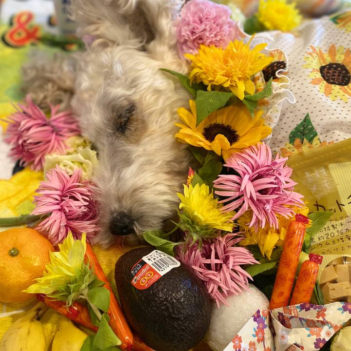 2de51641 22cd 4b2c bdfa 2f1179e265e0 1595590347301