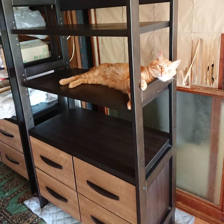 2de52725 01bb 4f82 8703 3a4f3508037d 1662261391128