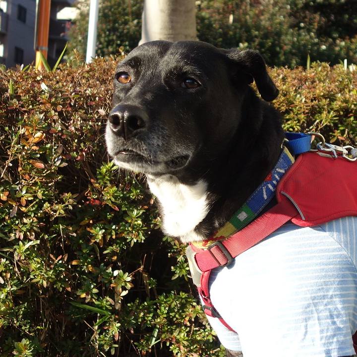 2de55b48 9337 4495 b824 3bb8acc86c28 1673227638297