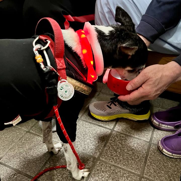 2de567d8 8562 47a5 a963 fc751aa8fb51 1655983478379