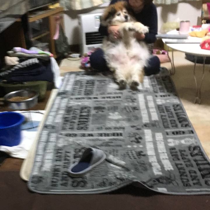 2de56ebd 8d68 4735 a236 014279f778ca 1562195412926