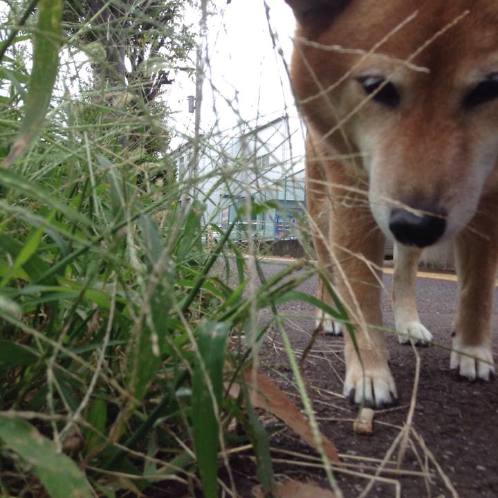 2de5767e 3ed6 4d48 87ab 1c8f9274e816 1537837568805