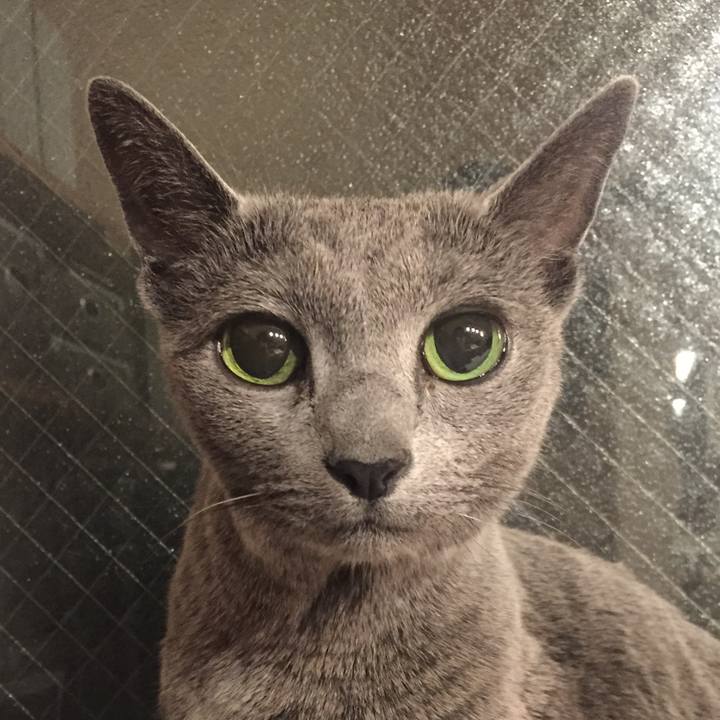 2de5ac0f eff2 4167 a8f4 09e977d6db06 1558308066557