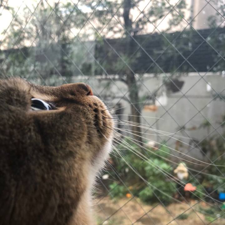 2de5d567 f850 4ecf 8312 90eac33f6dcc 1611825182017