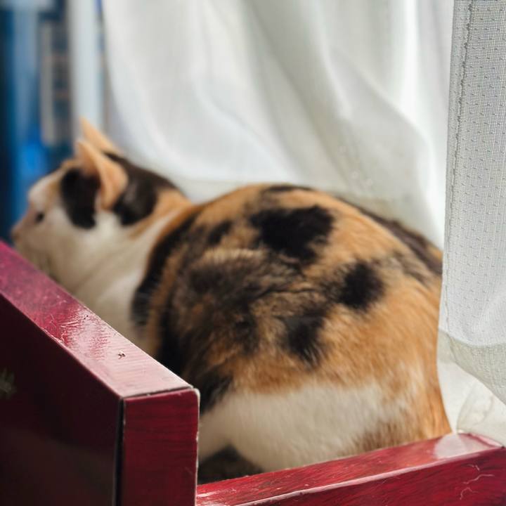 2de5dad9 4fd5 4c55 8552 94da00ca2e4c 1671416955243