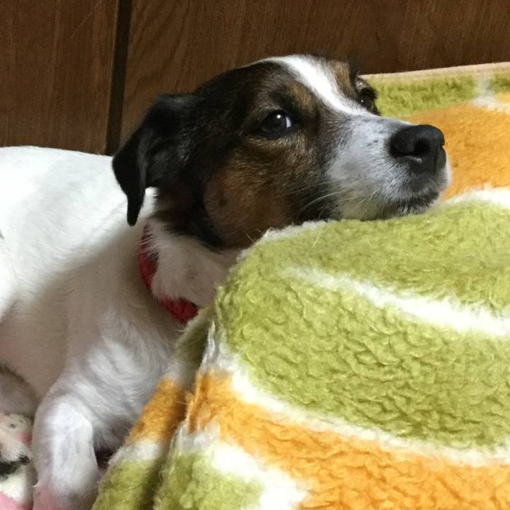 2de60567 7f2d 47b6 a90e bf03ea06b0cc 1551525899767