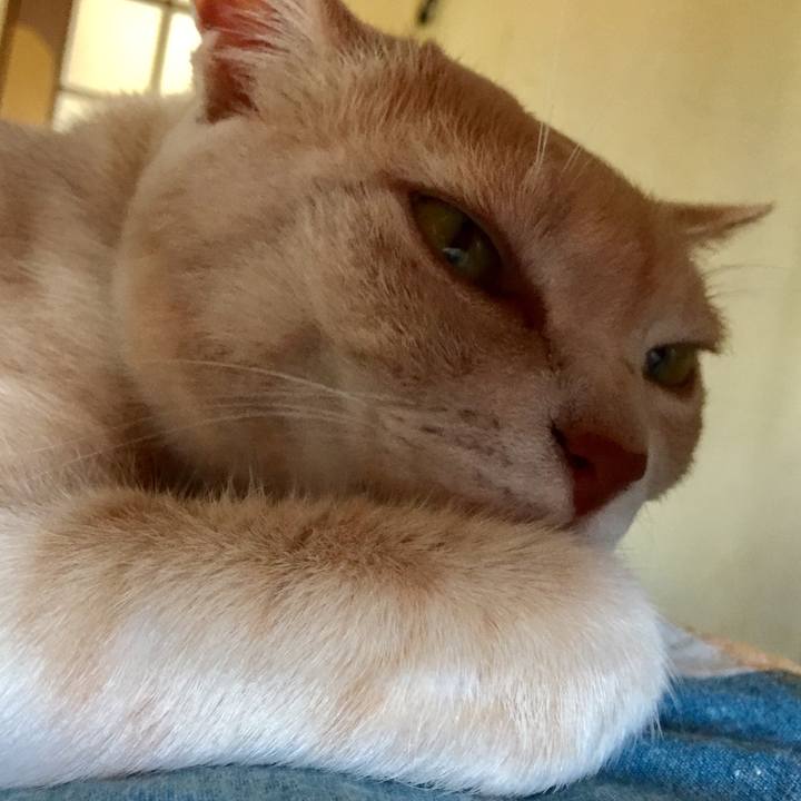 2de60e77 3f3c 4d14 9964 af9a2e44a876 1623758990738