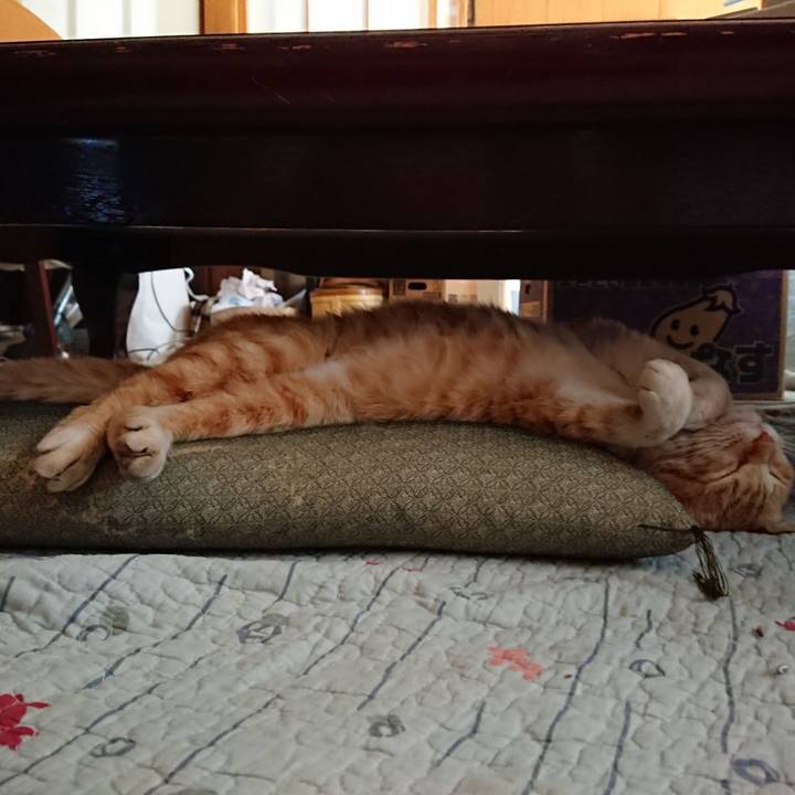 2de60e8b 5f74 416c 8365 065bebba7a78 1557031997011