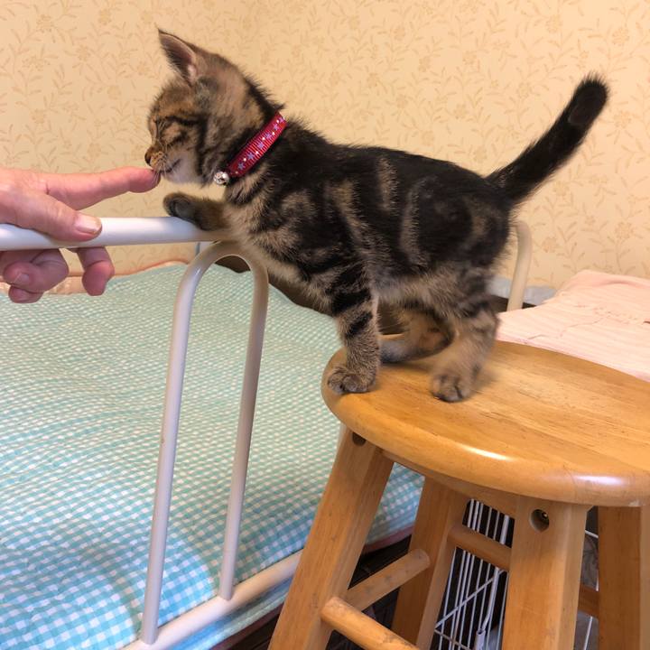 2de66a14 7289 47ec a011 a863dce8d3f4 1724056274234