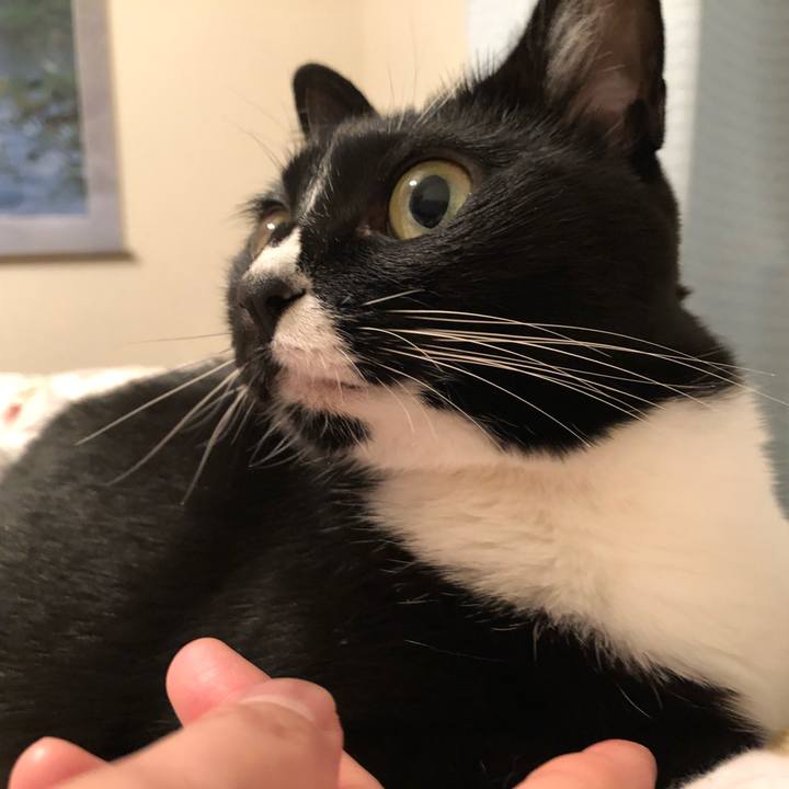 2de679d6 0f10 4724 8300 fe782b25c1c9 1517612385352