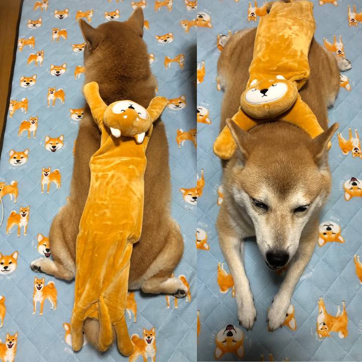 2de69f57 c4ba 4da6 a28a 74763d560e7c 1569851292370