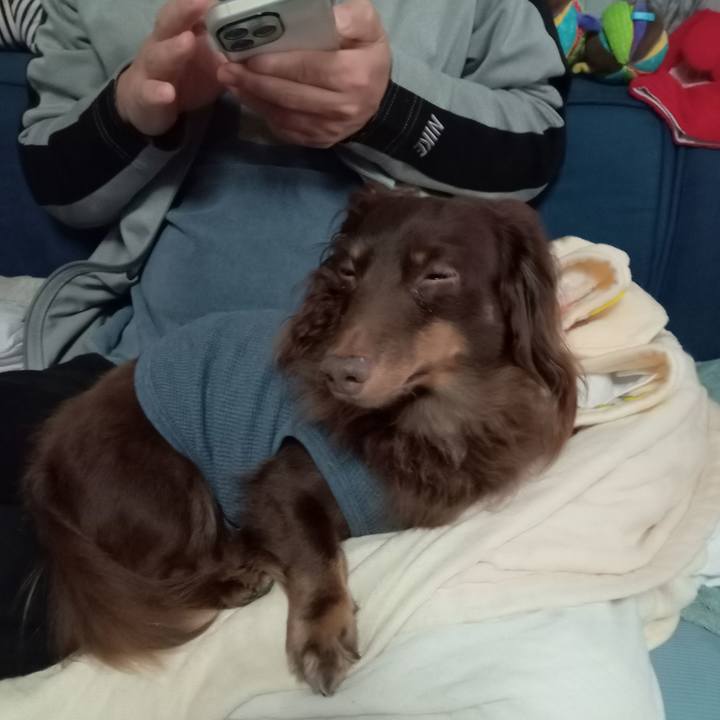 2de6b8a8 a5d9 4a27 8ba7 a839add70708 1762121174323