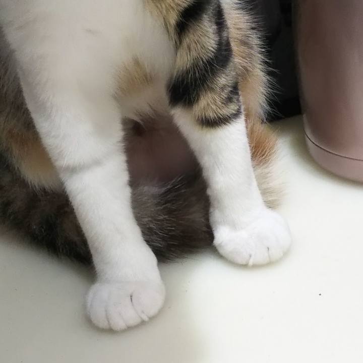 2de6e915 0f37 4d8f af78 f22f21d0b94f 1635551424946