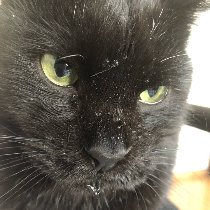 2de6ec48 9079 4f6f 9c7d 6899e66c9d9a 1640645761873