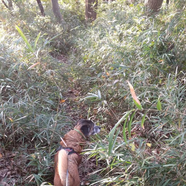 2de70694 8a5e 417a 8a30 bceea8246ca6 1542756814164