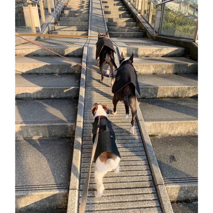 2de75499 5936 4671 9fd8 8ce9f99f5c5f 1576317083005