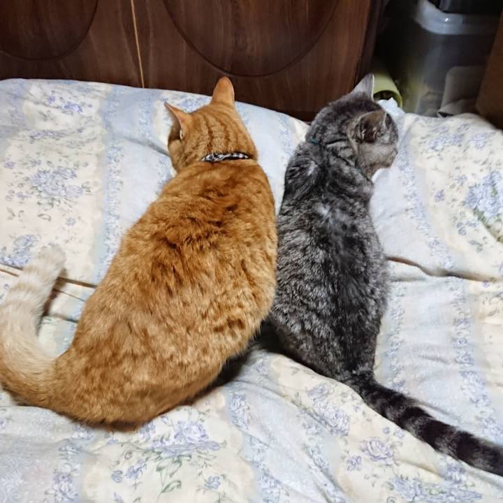 2de767fa c3c0 4b02 8688 0d577db19ee4 1575289605833