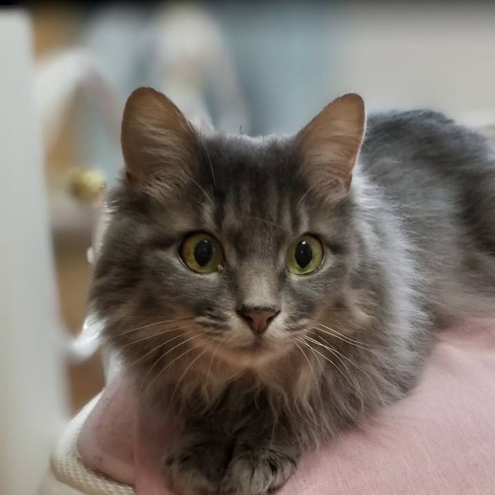 2de771d0 f9d7 446d bd9a 6f3a8034d185 1769340253118