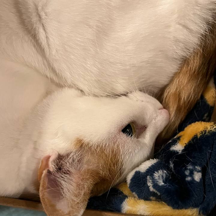 2de7a1b6 fd59 4b4e a6b0 75afa773c4bb 1768574814530