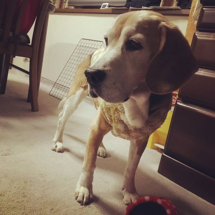 2de7ce46 5abc 4bc4 8089 9a4fb5a014f0 1518787011587