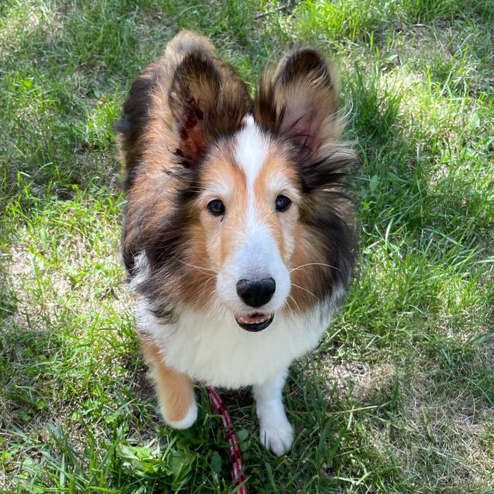 2de80da6 35d4 48cd be56 35bf59fd8e69 1629375877877