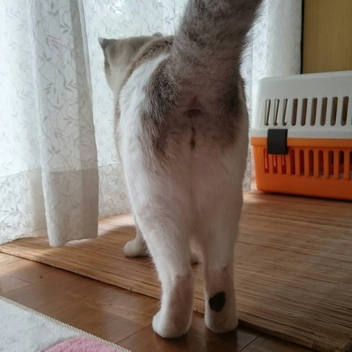 2de8200f 5b55 47b8 85b3 97e4d68cd08c 1510015063524