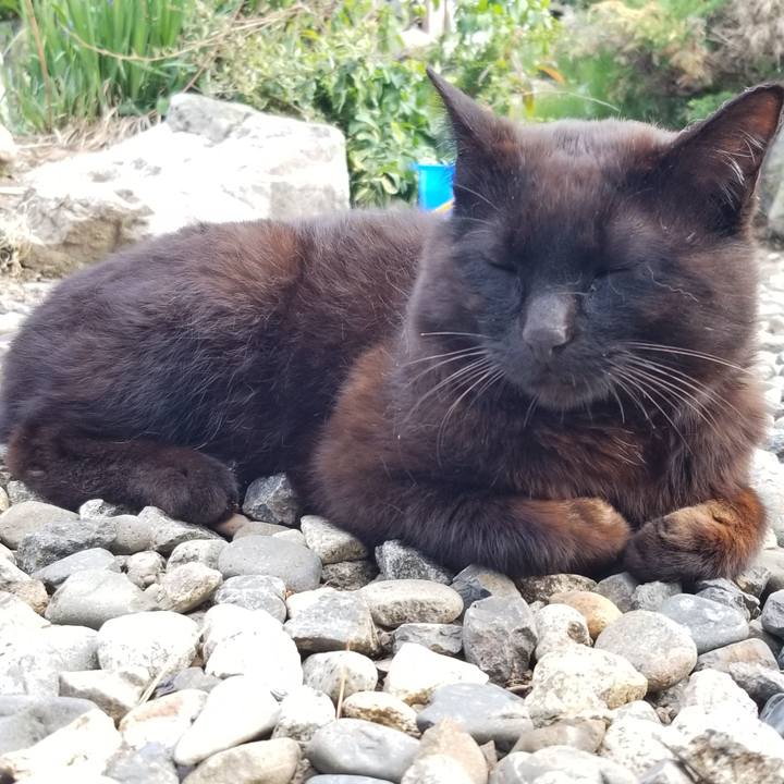 2de8c78c 2956 4572 b51f 16c3ebbb8a34 1686235691101