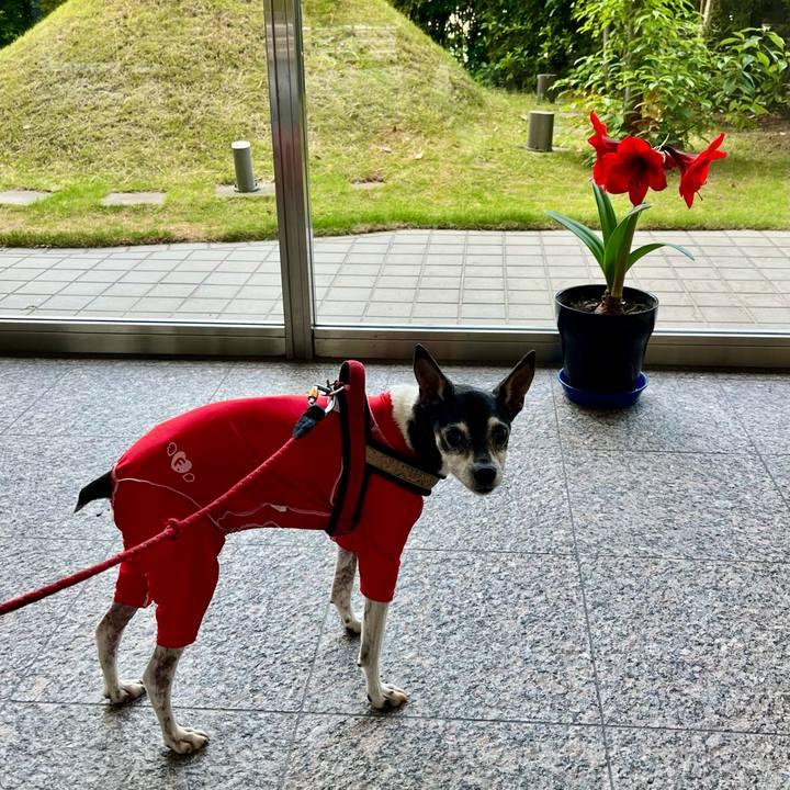 2de8cc76 3a2a 476a 811a d8a89bc365d7 1653430304483