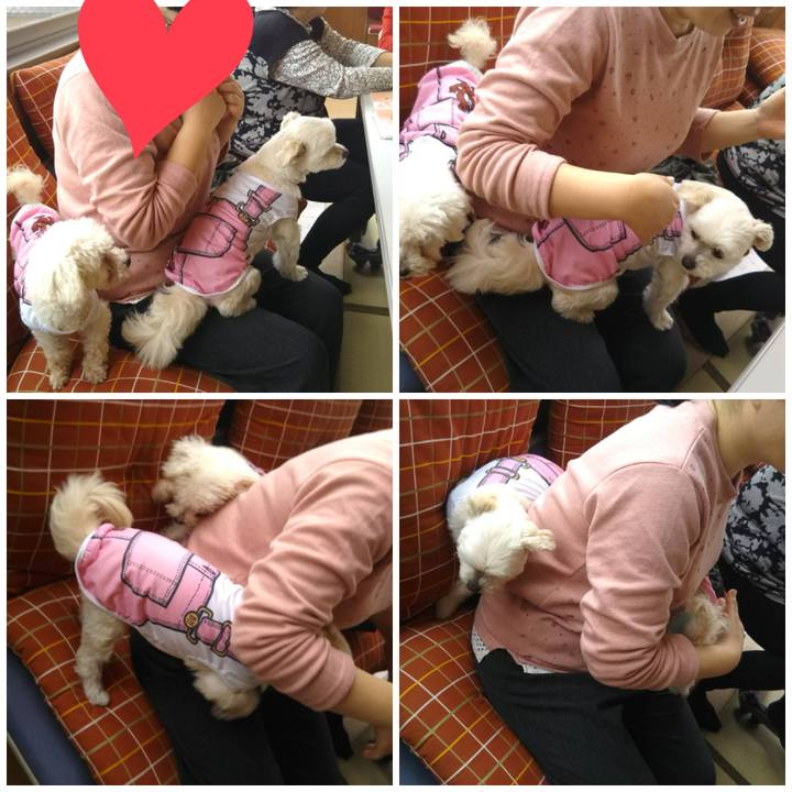 2de8d15d e239 418c 82e9 8c33612ebfd8 1521425134558