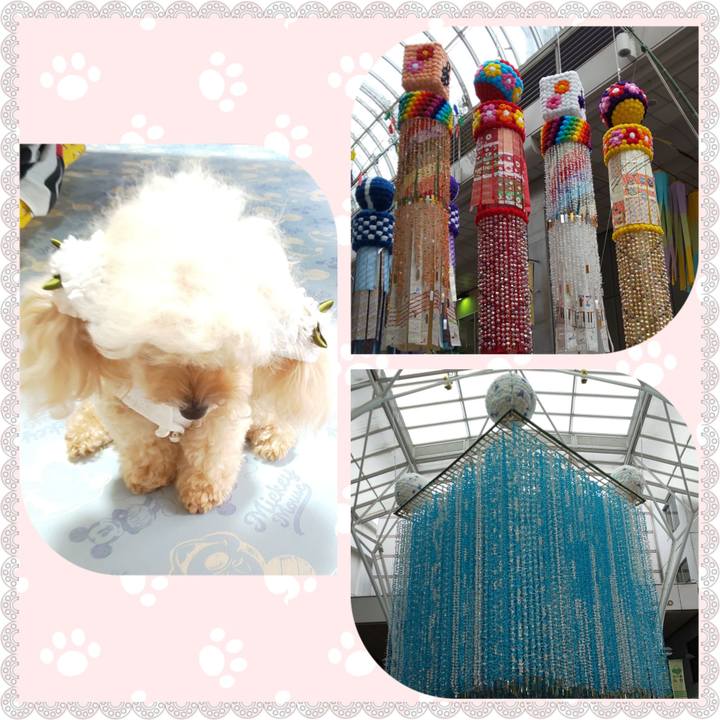 2de8da16 39b5 4b05 aadd 0bb17d7e4635 1662529034965