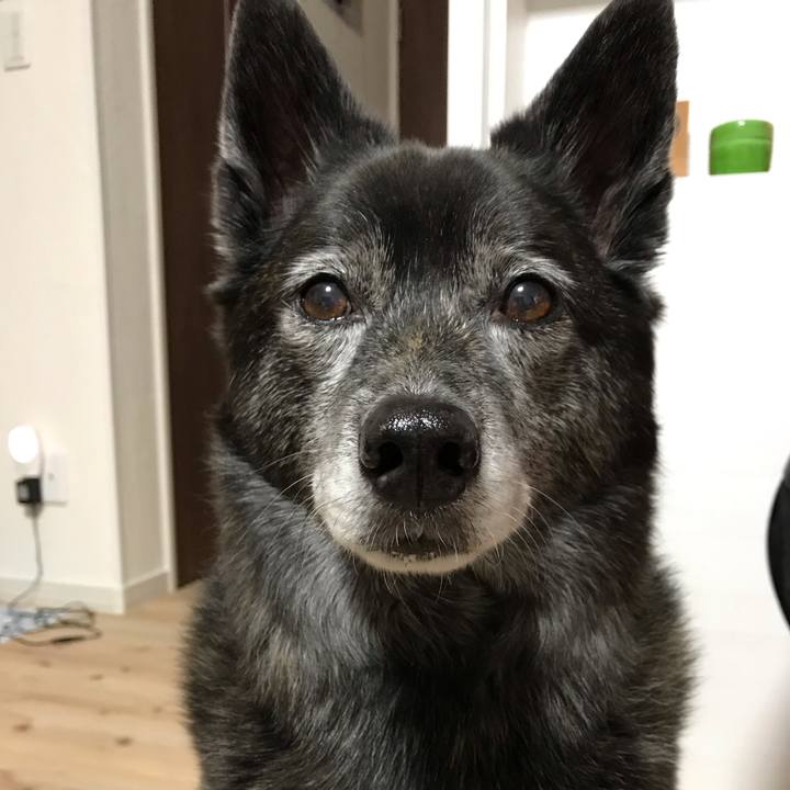 2de8fa1e c95d 4b71 ba01 24f06f11d2c3 1589377333927