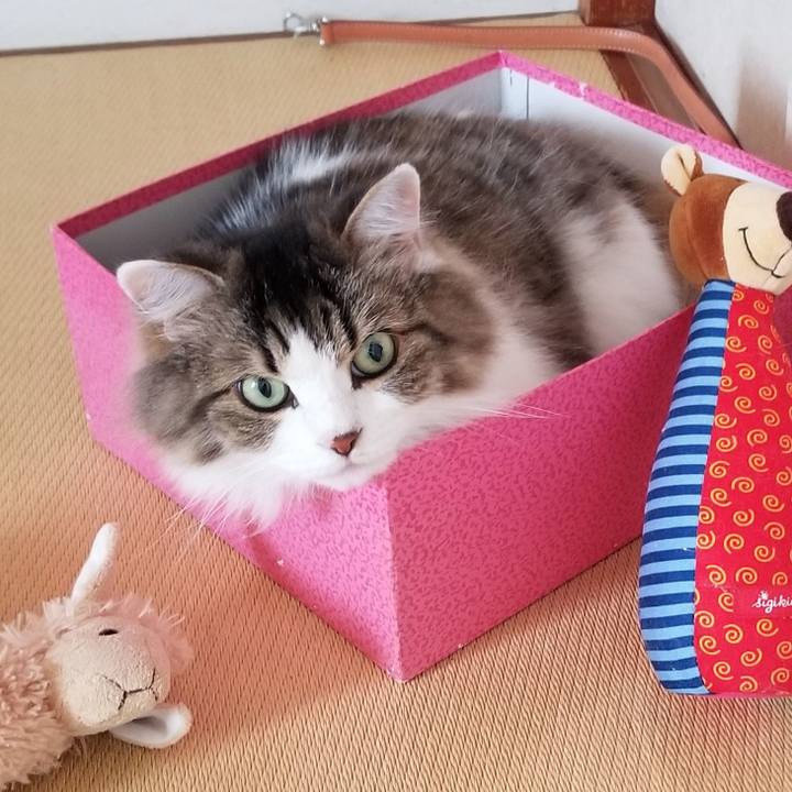 2de92c15 646b 4f4e 99df b1d1bb359d45 1597669134096