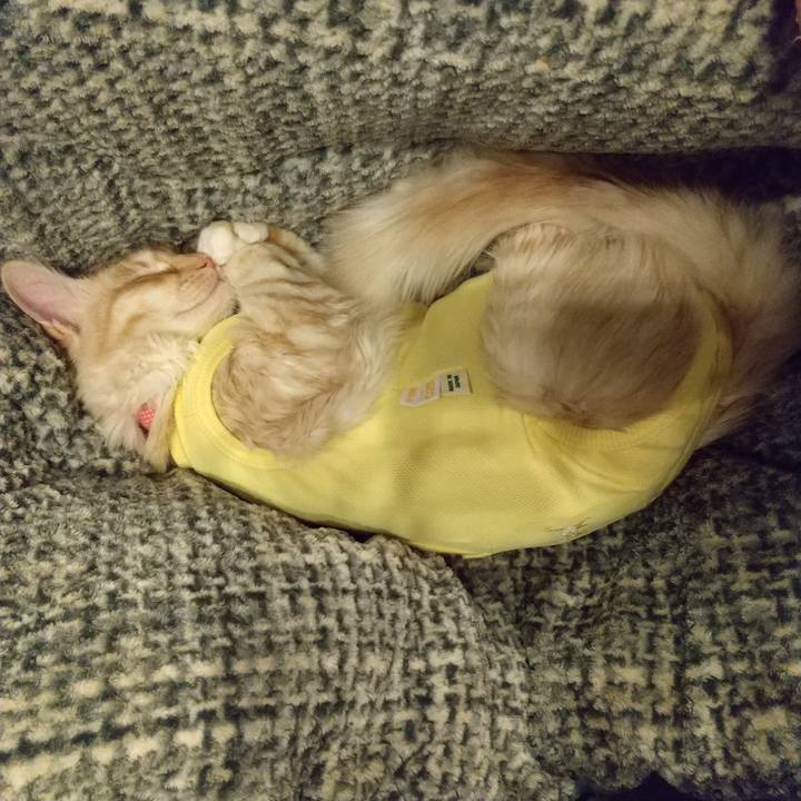 2de93ead 0bc5 4833 a3b1 47ca5f87a52b 1614434214140