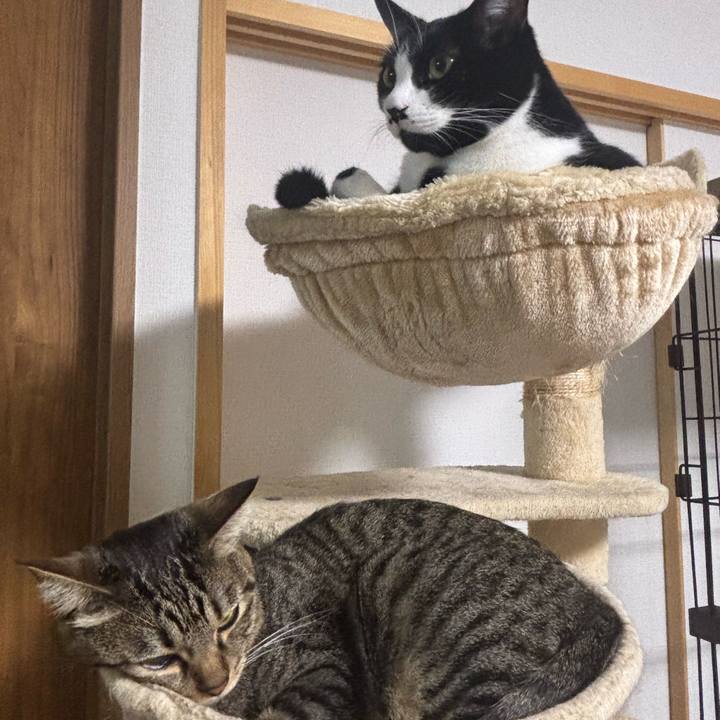 2de94b15 cb54 486f af7a 8b83edd9ac02 1764638769282